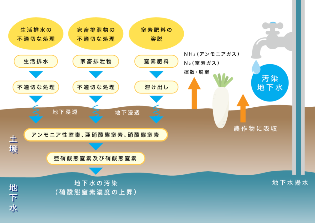 硝酸態窒素／亜硝酸態窒素の発生経路をイラストを交えて説明している図