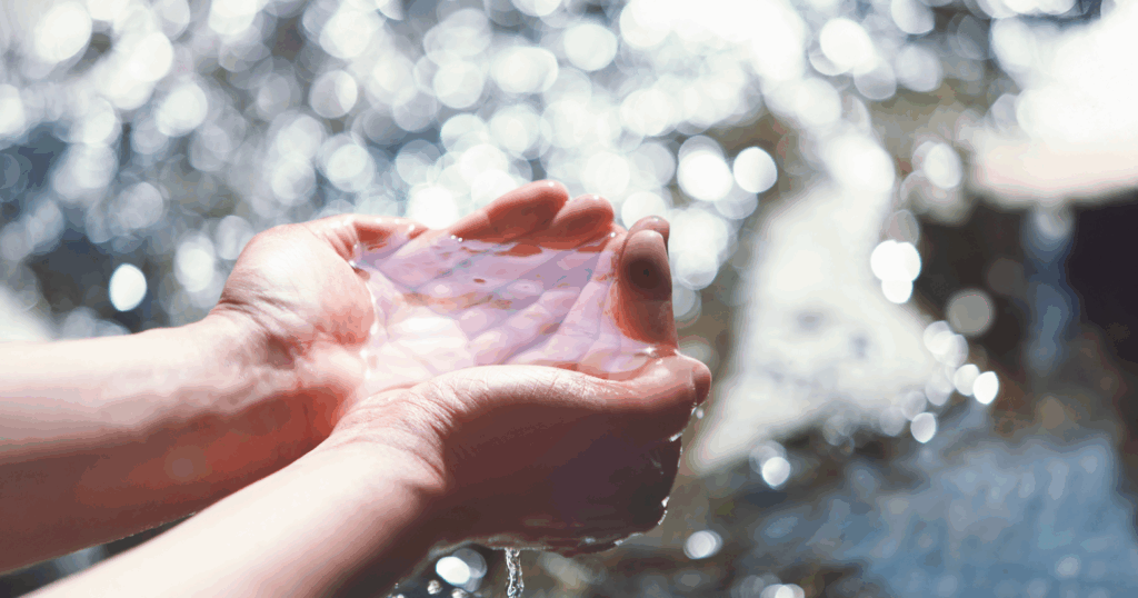湧水を両手で掬い上げている様子
